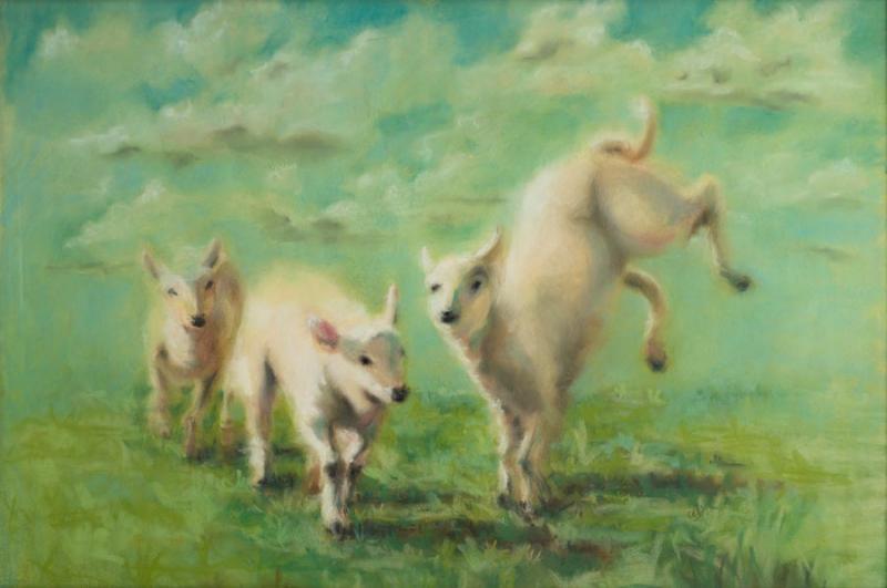 Spring Lambs